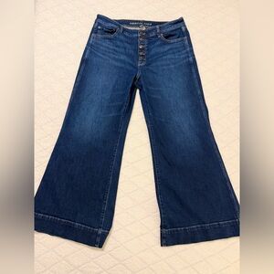 American Eagle Outfitters Indigo Wide Leg Jeans